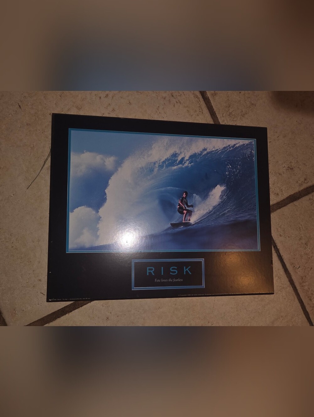 Framed motivational Picture "RISK," tagline "Fate loves the Fearless"